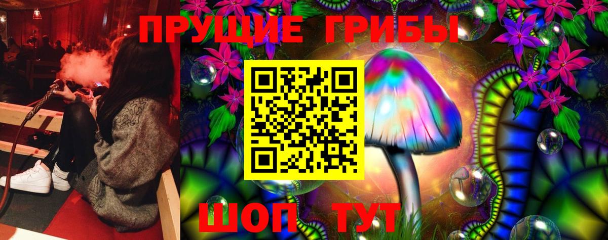 Галлюциногенные грибы Psilocybine cubensis  Вход с VPN  Видное  Галлюциногенные грибы MAGIC MUSHROOMS 
